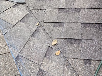 Residential Roof Leak Repair Services